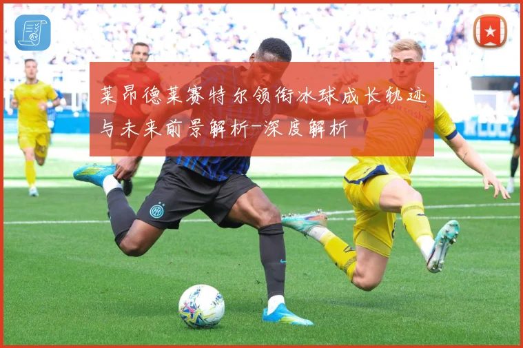 莱昂德莱赛特尔领衔冰球成长轨迹与未来前景解析-深度解析