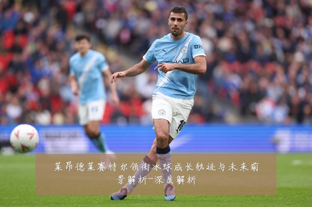莱昂德莱赛特尔领衔冰球成长轨迹与未来前景解析-深度解析